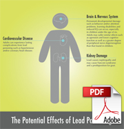 Download the Health Effects of Lead Poisoning PDF