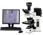Olympus BX51 compound DIC microscope