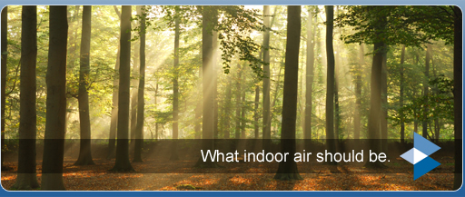 Clean air = clean mind.  Clean, fresh indoor air quality lends itself to clarity of thought.